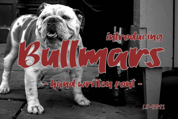 Bullmars: A Bold Display Font for Editorial Design